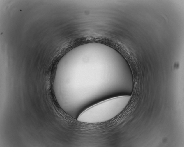 X0000100201012200805300742