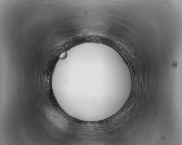 X0000100201013200805300742