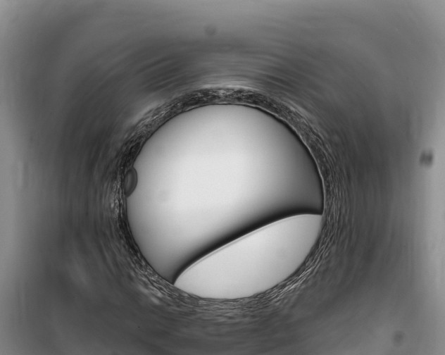 X0000100201014200805300742