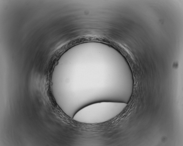 X0000100201015200805300742