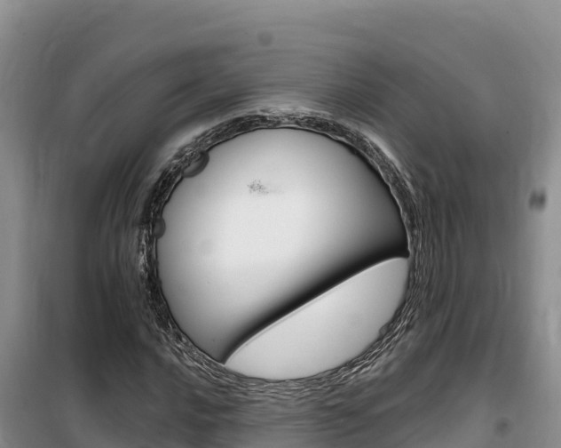 X0000100201016200805300742