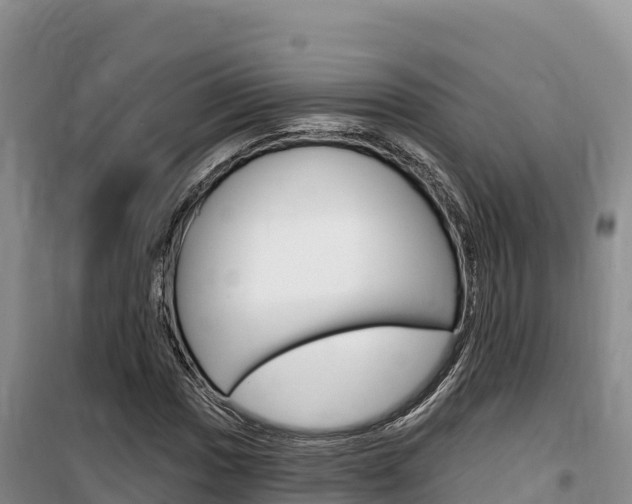 X0000100201017200805300742