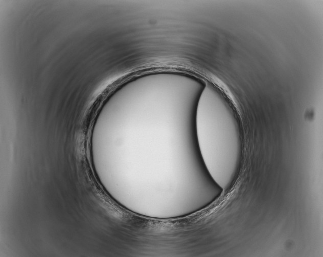 X0000100201019200805300742