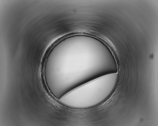 X0000100201020200805300742