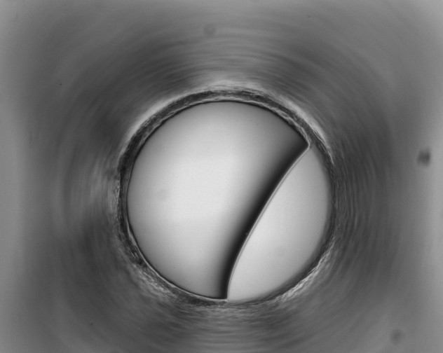 X0000100201021200805300742