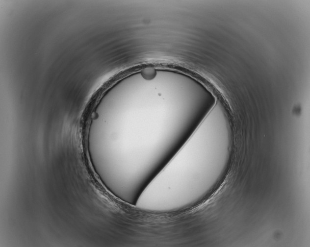 X0000100201022200805300742
