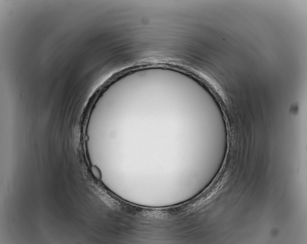 X0000100201023200805300742