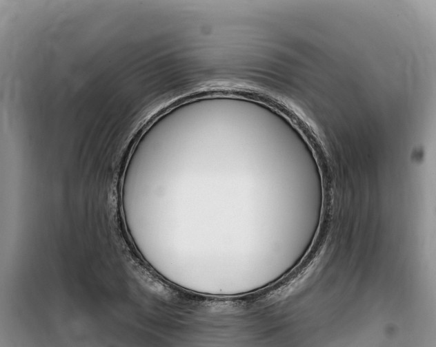 X0000100201025200805300742