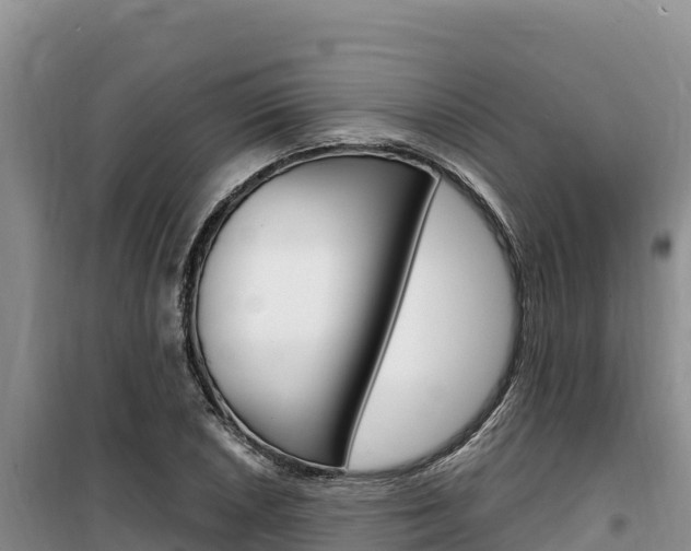 X0000100201026200805300742