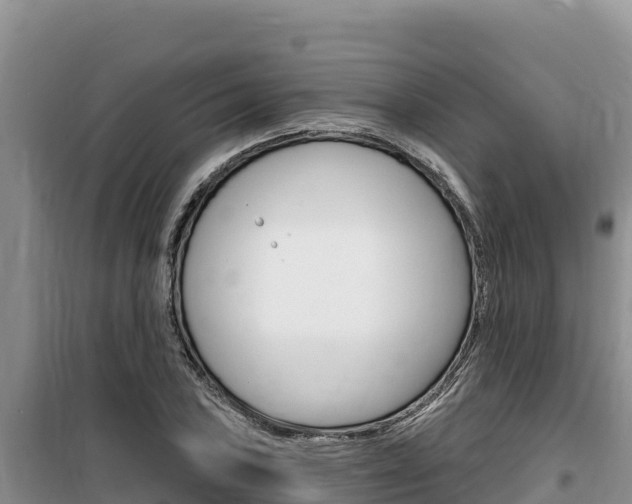 X0000100201027200805300742