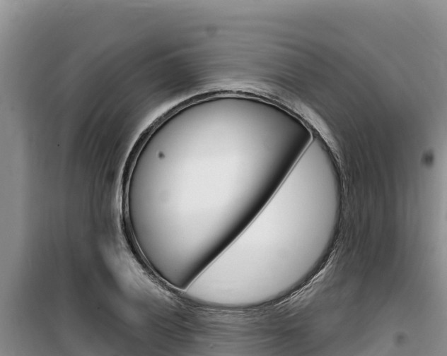 X0000100201028200805300742