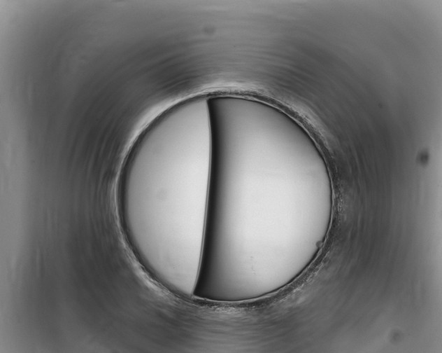 X0000100201030200805300742
