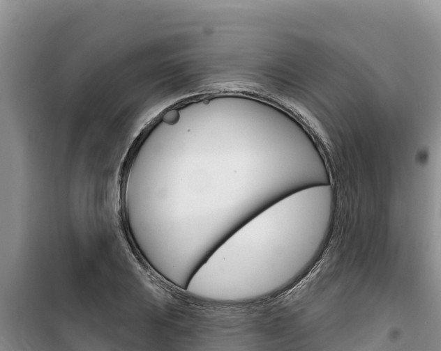 X0000100201031200805300742