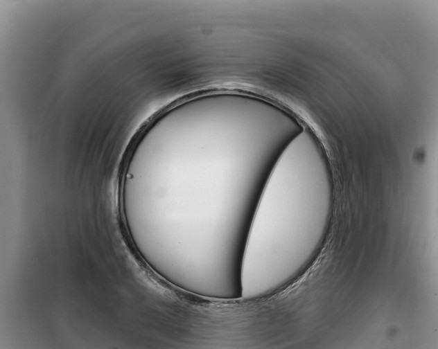 X0000100201032200805300742