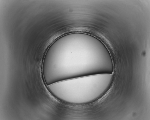 X0000100201033200805300742
