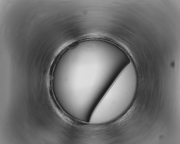 X0000100201034200805300742