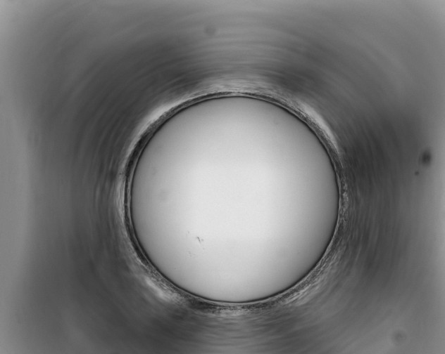 X0000100201035200805300742