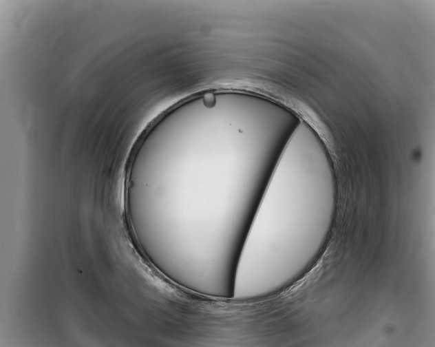 X0000100201036200805300742