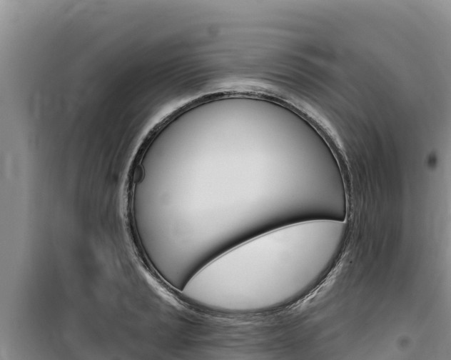 X0000100201037200805300742