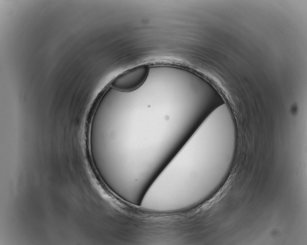 X0000100201038200805300742