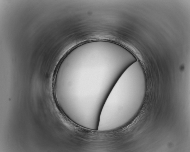 X0000100201039200805300742