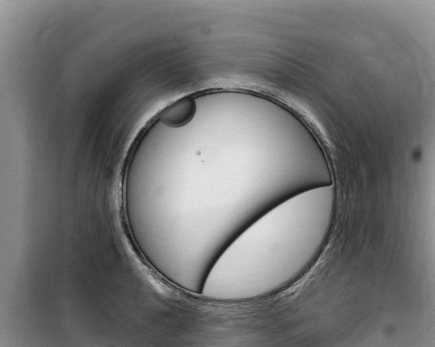X0000100201040200805300742