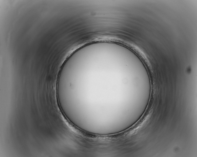 X0000100201041200805300743