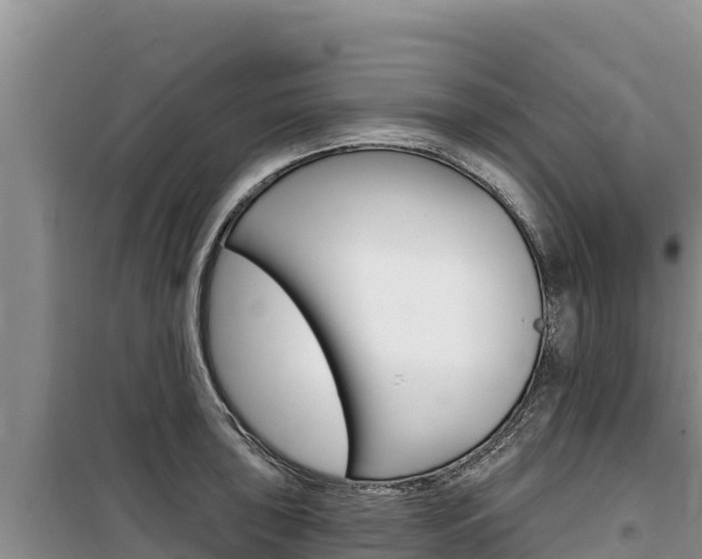 X0000100201043200805300743