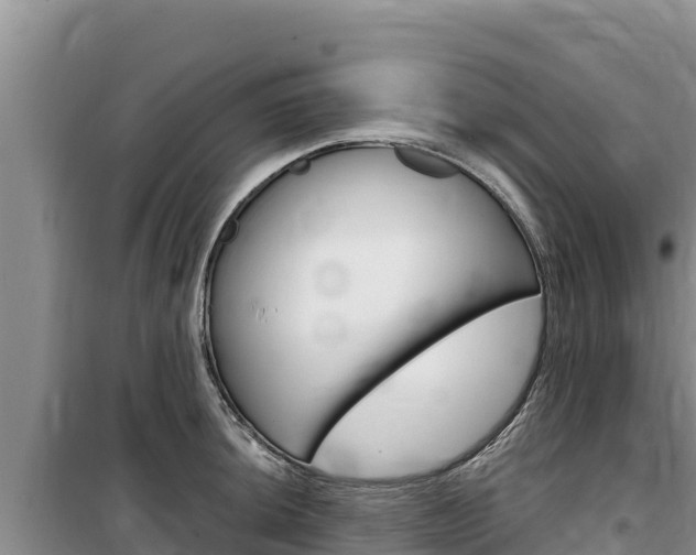 X0000100201044200805300743