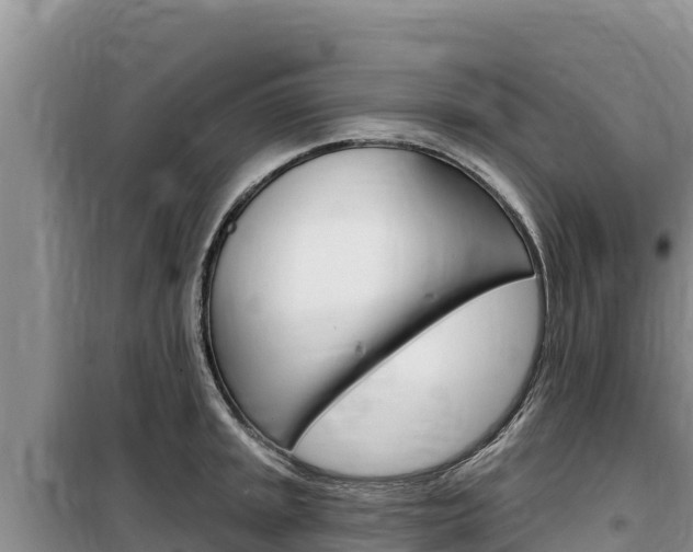X0000100201045200805300743