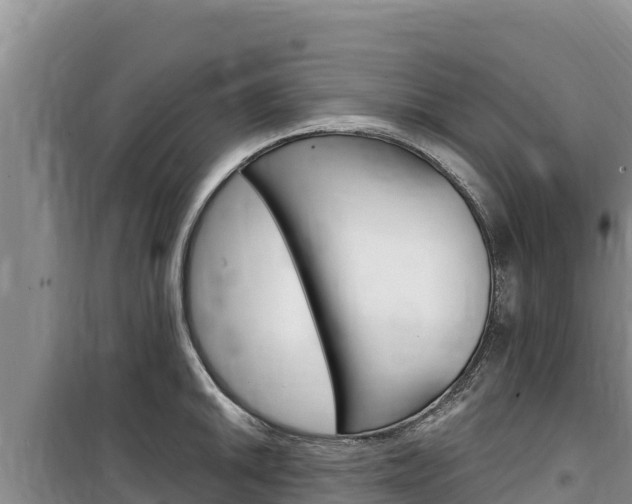 X0000100201046200805300743