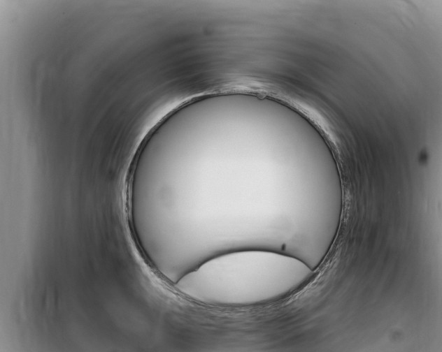 X0000100201047200805300743