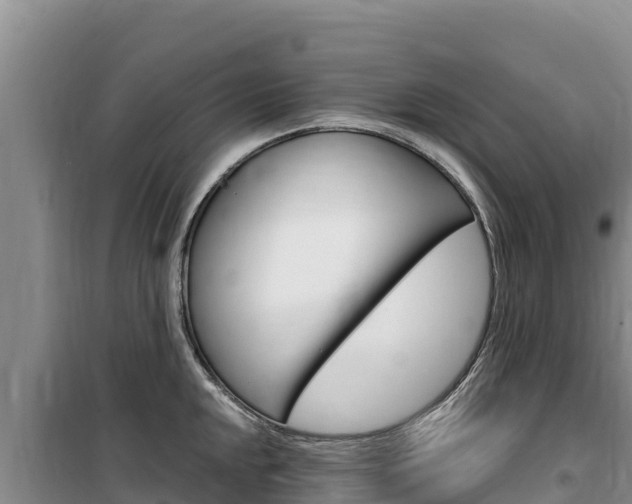 X0000100201048200805300743