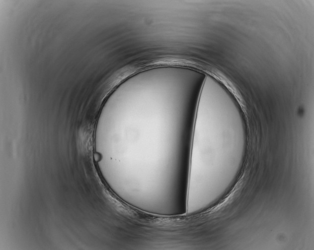 X0000100201049200805300743
