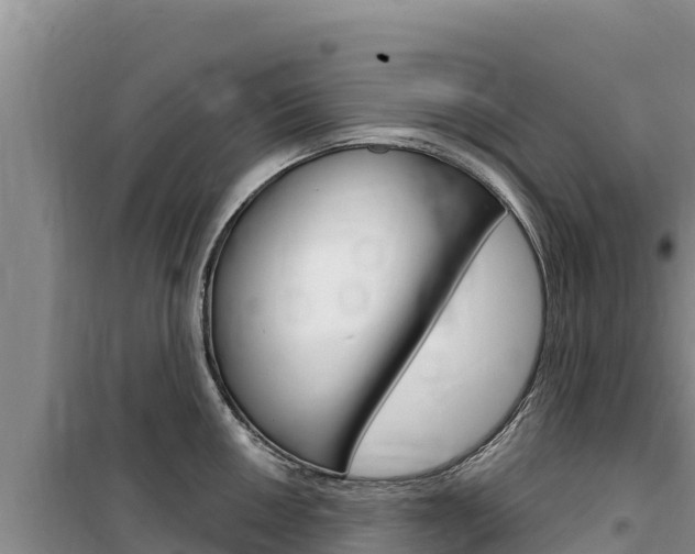 X0000100201050200805300743