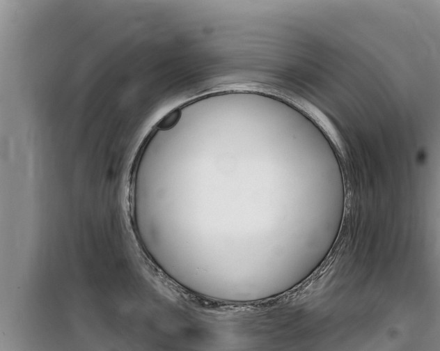 X0000100201051200805300743