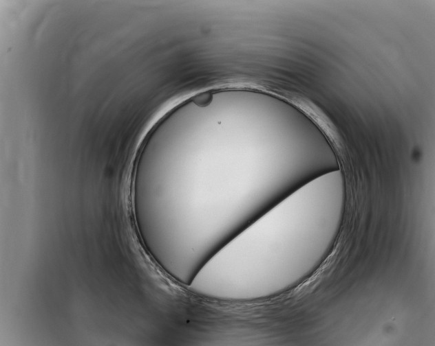 X0000100201052200805300743