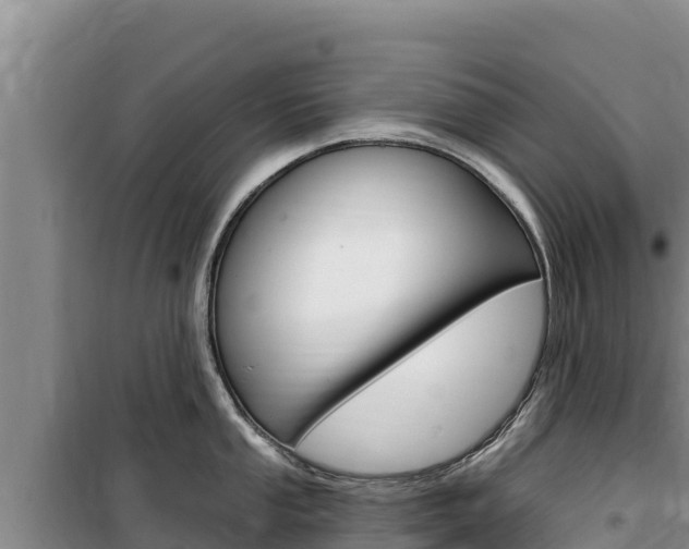 X0000100201053200805300743