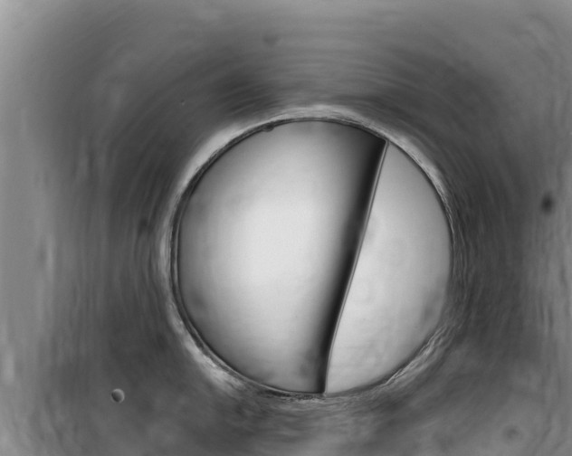 X0000100201054200805300743