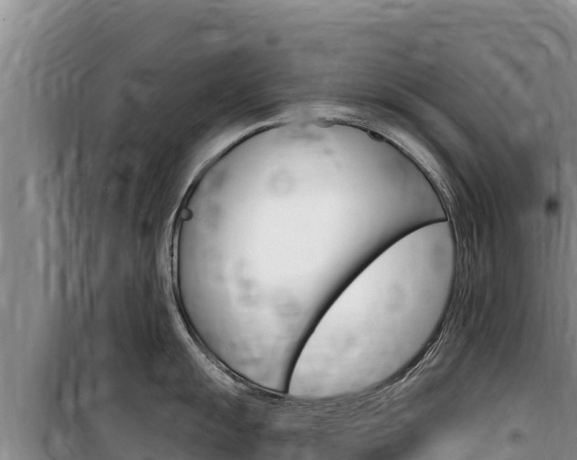 X0000100201055200805300743