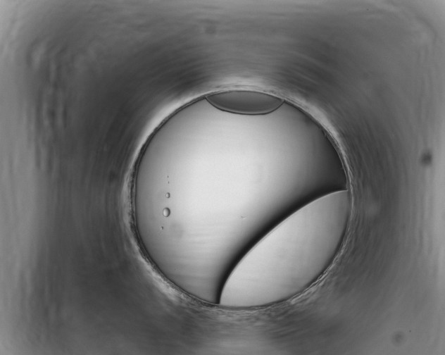 X0000100201056200805300743