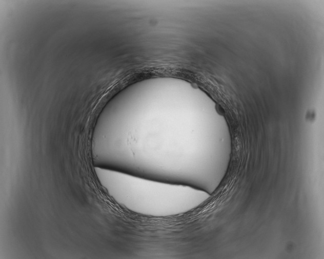 X0000100201057200805300742