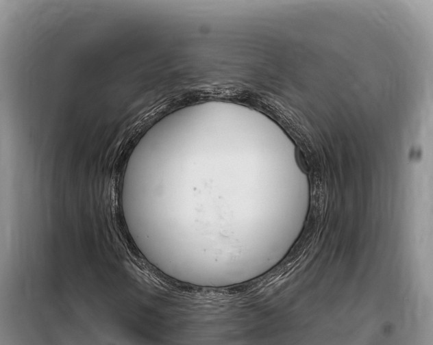 X0000100201058200805300742
