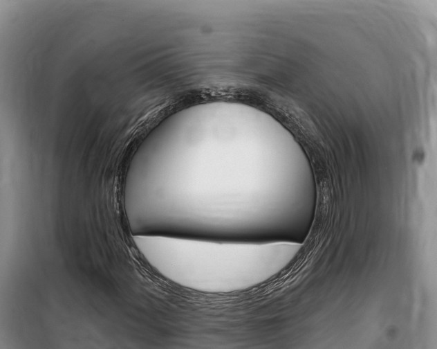 X0000100201060200805300742
