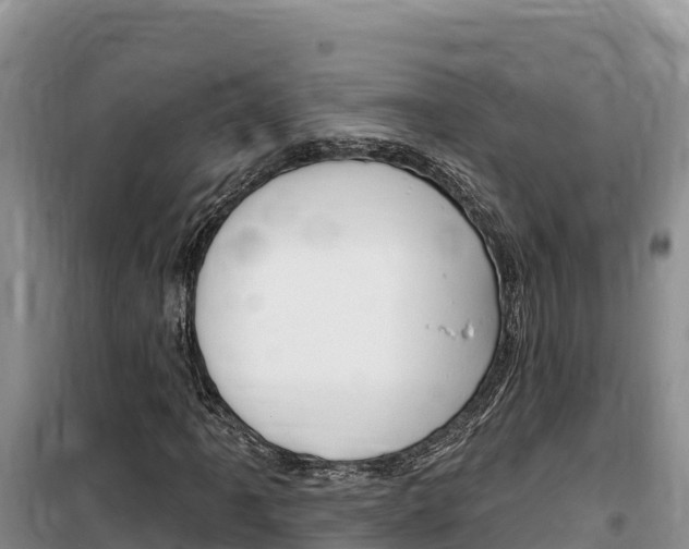 X0000100201061200805300742