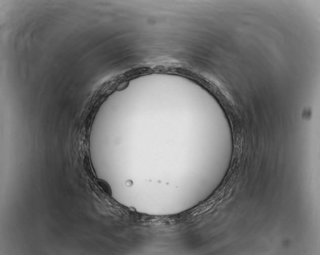 X0000100201063200805300742