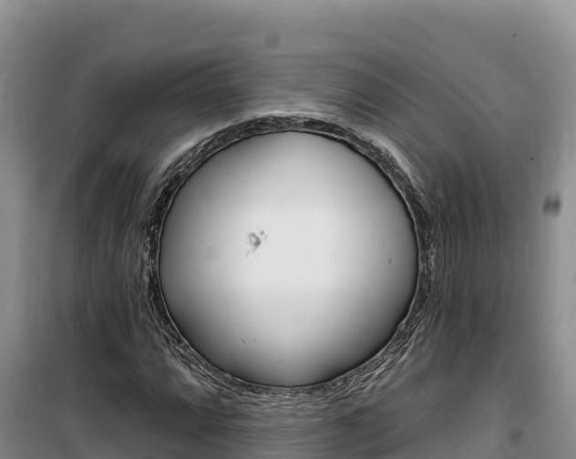 X0000100201064200805300742