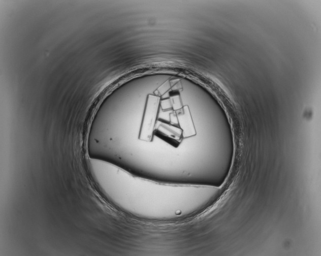 X0000100201065200805300742