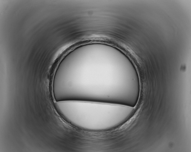 X0000100201066200805300742