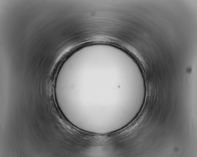 X0000100201067200805300742